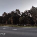 Se Vende Terreno en Maullín Orilla Carretera
