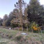 Se Vende Terreno en Maullín Orilla Carretera
