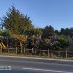 Se Vende Terreno de 13,5 Hectáreas, Tepual