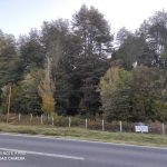 Se Vende Terreno en Maullín Orilla Carretera
