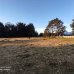 Se Vende Terreno de 13,5 Hectáreas, Tepual