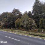 Se Vende Terreno en Maullín Orilla Carretera