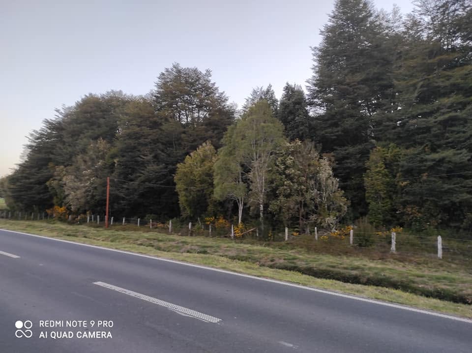 Se Vende Terreno en Maullín Orilla Carretera