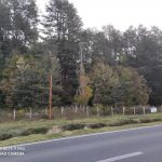 Se Vende Terreno en Maullín Orilla Carretera