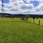 Se Arrienda y/o Vende Bodega en Parcela