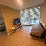 Arriendo Depto. Amoblado Valle Volcanes